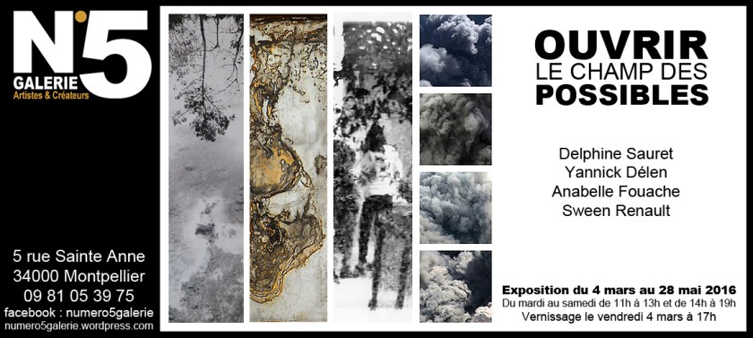 N°5 GALERIE - MONTPELLIER exposition photographie mars 2016 - Ouvrir le champ des possibles - Delphine Sauret - Anabelle Fouache - Sween Renault - Yannick Delen