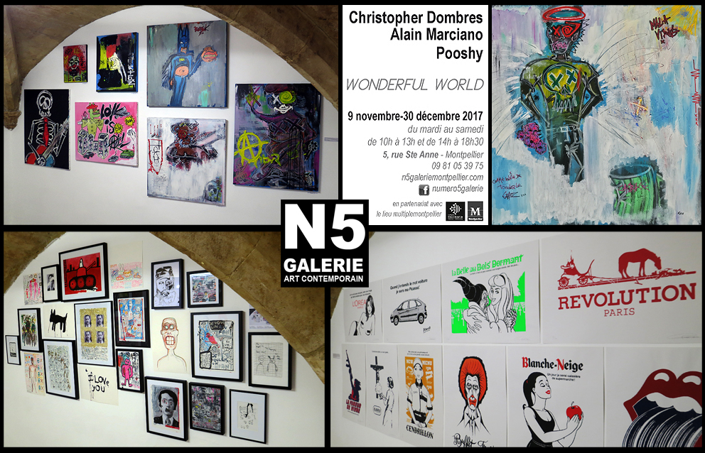N5_galerie_exposition_Christopher Dombres_Pooshy_Alain Marciano_peinture_dessin_serigraphie_Montpellier_2017