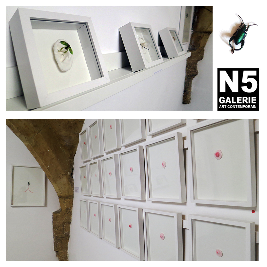 N5 galerie_Cecile Hug_exposition_Anatomies_Montpellier_mars_avril_2018