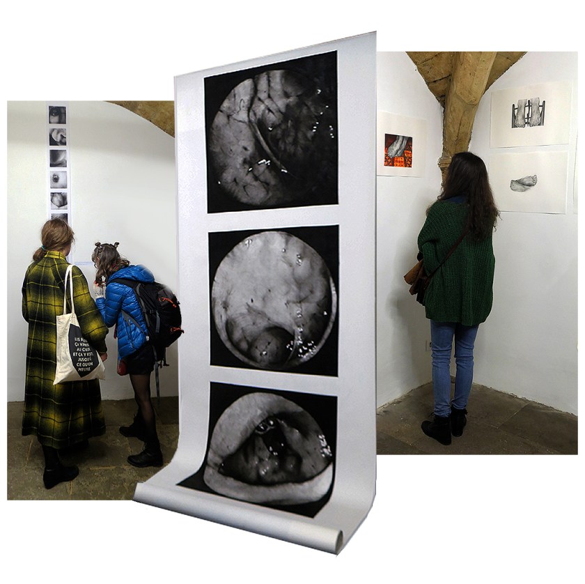 N5 galerie_le lieu multiple_musee Atger_exposition_Anatomies_Montpellier_Gisele Bonin_MC Conilh de Beyssac_2018