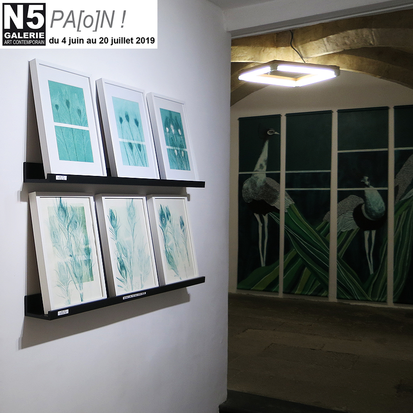 N5_galerie_Anne_Saligan_exposition_peinture_Montpellier_2019_9