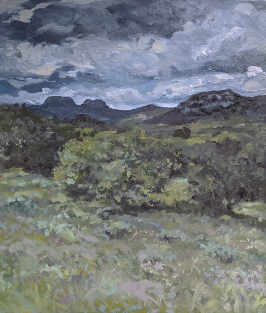 Exposition "DU PAYSAGE ..." - N5 Galerie - Montpellier